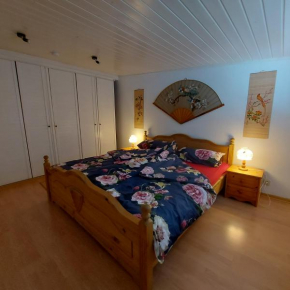 Ferienwohnung nähe Zentrum